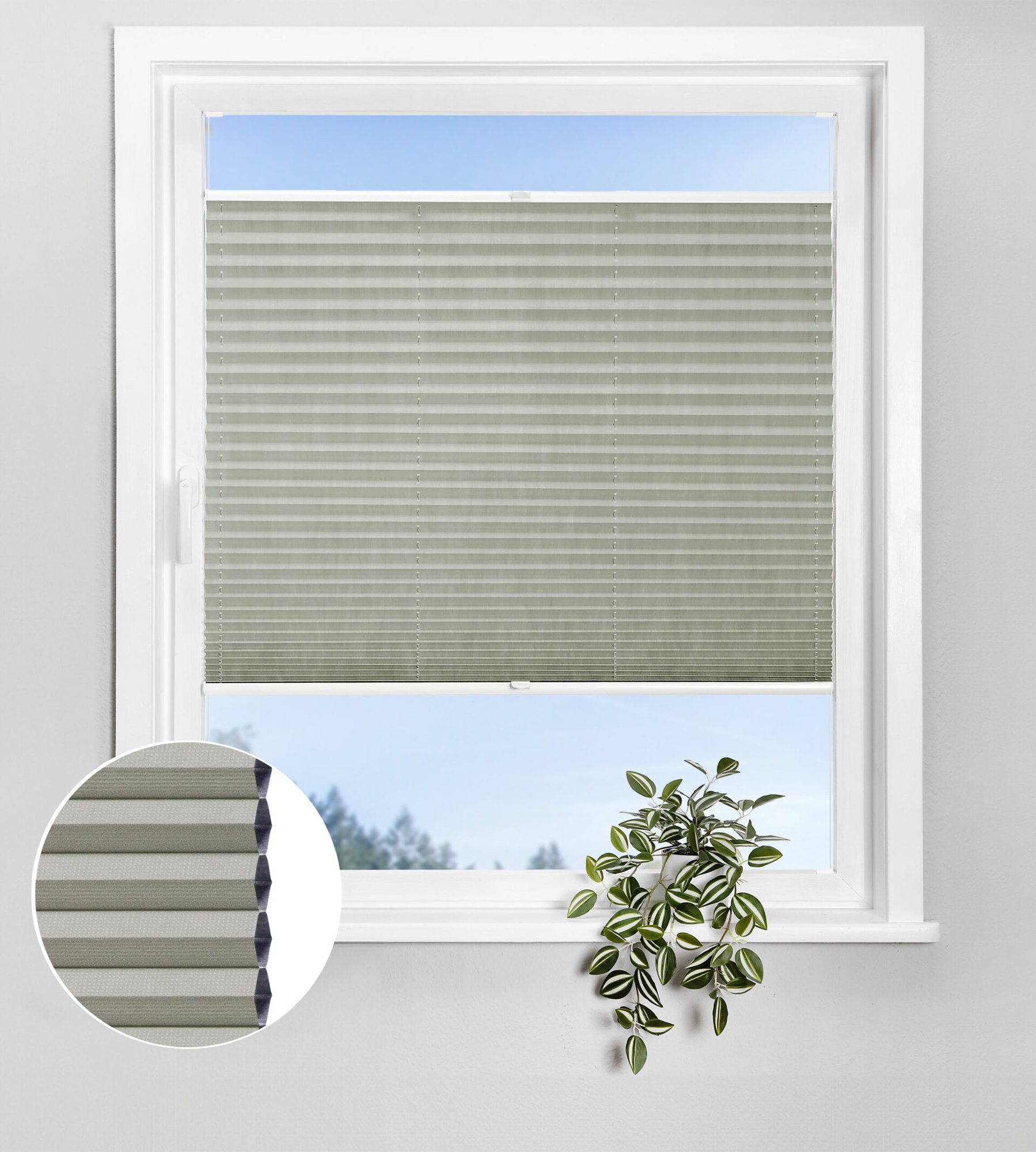 Wabenplissee Lunaris