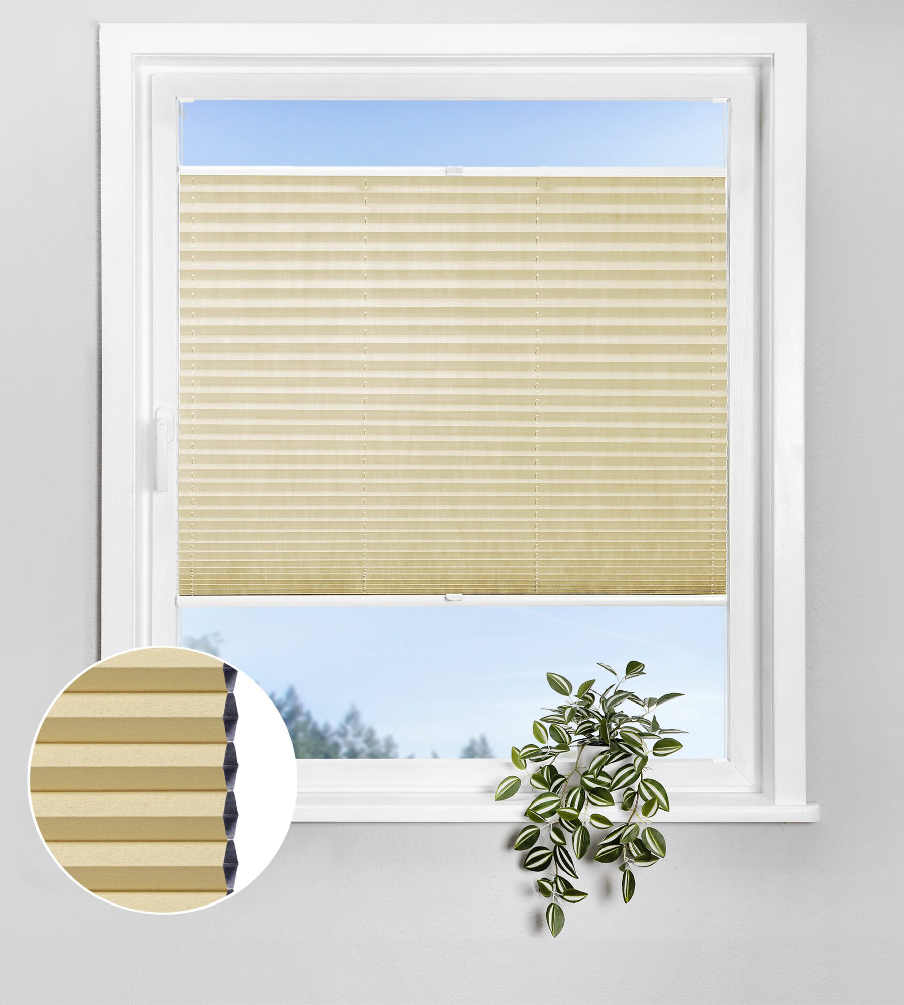 Wabenplissee Lunaris