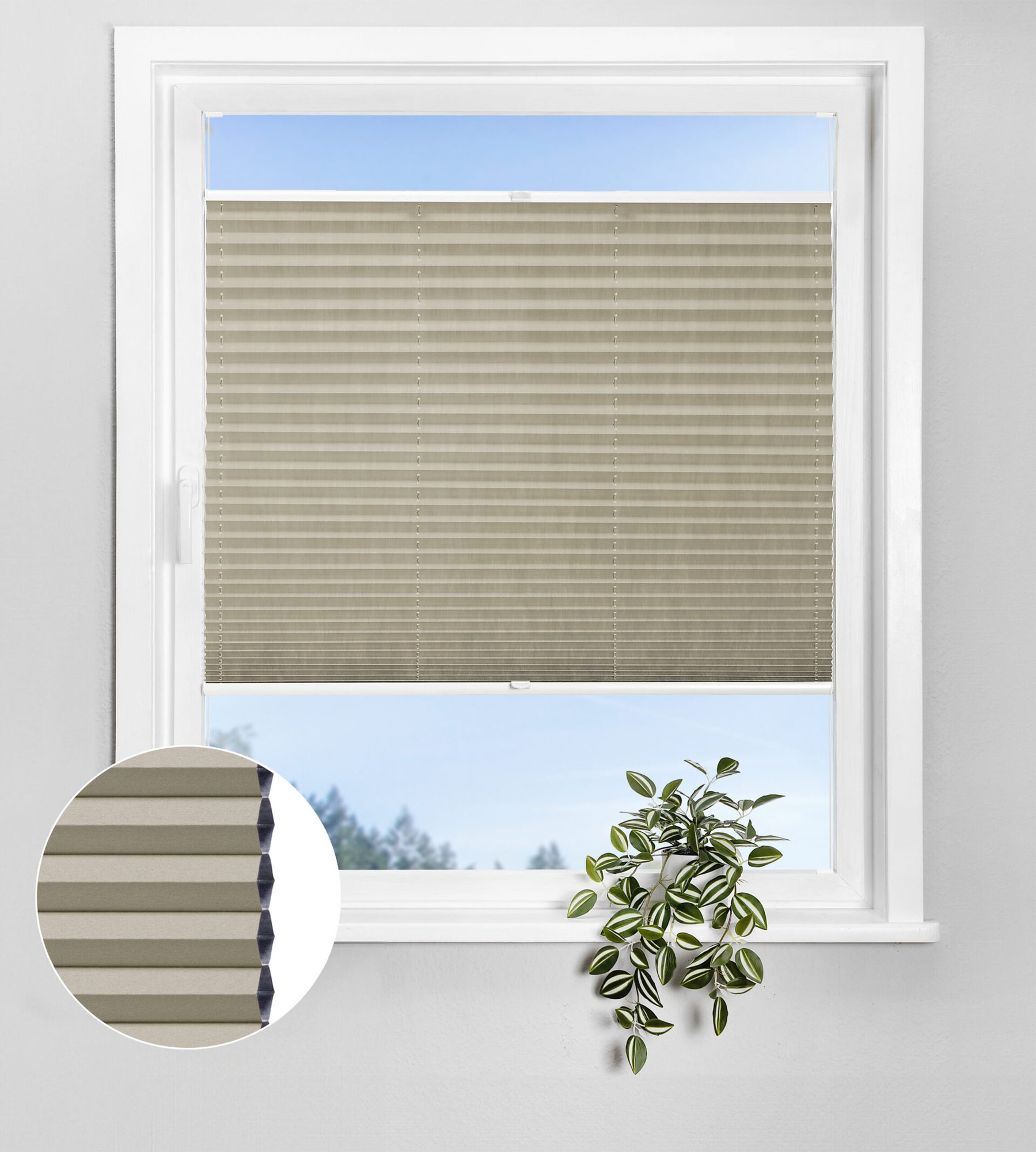 Wabenplissee Lunaris