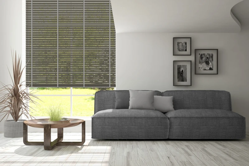 AN-52_50-bamboo-50-ver-2-scaled-1