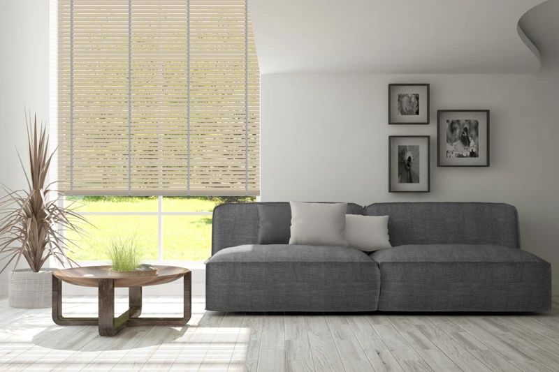 AN-81_50-bamboo-50-ver-2-scaled-1