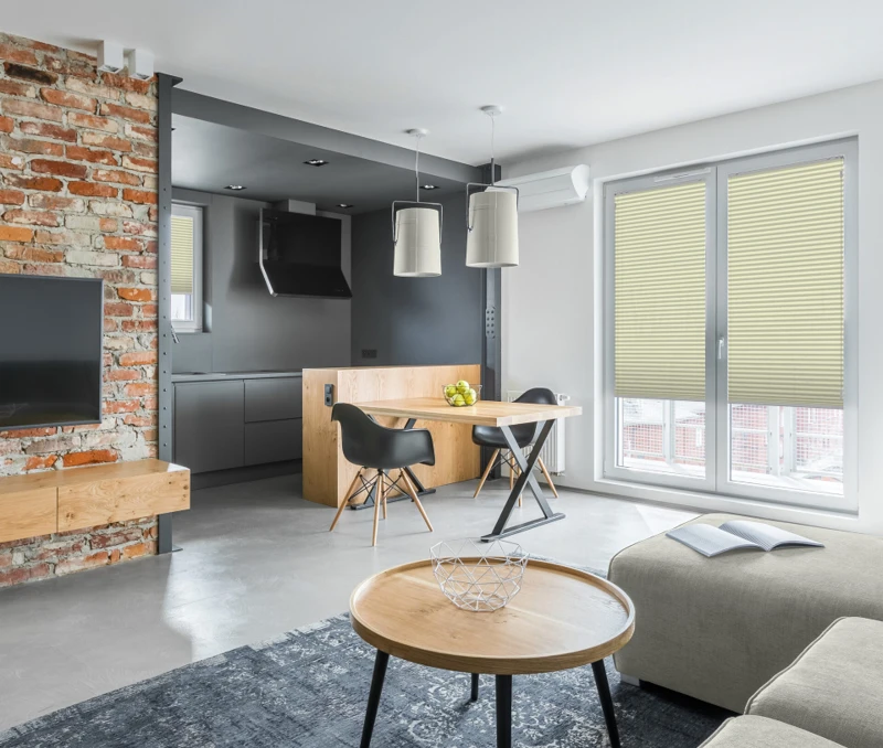 Apartment with open kitchen