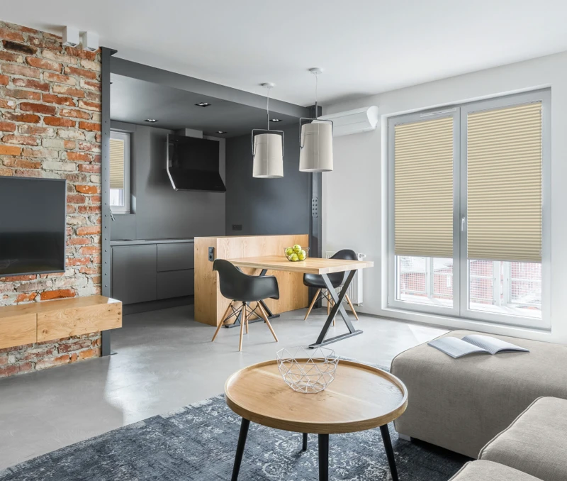 Apartment with open kitchen