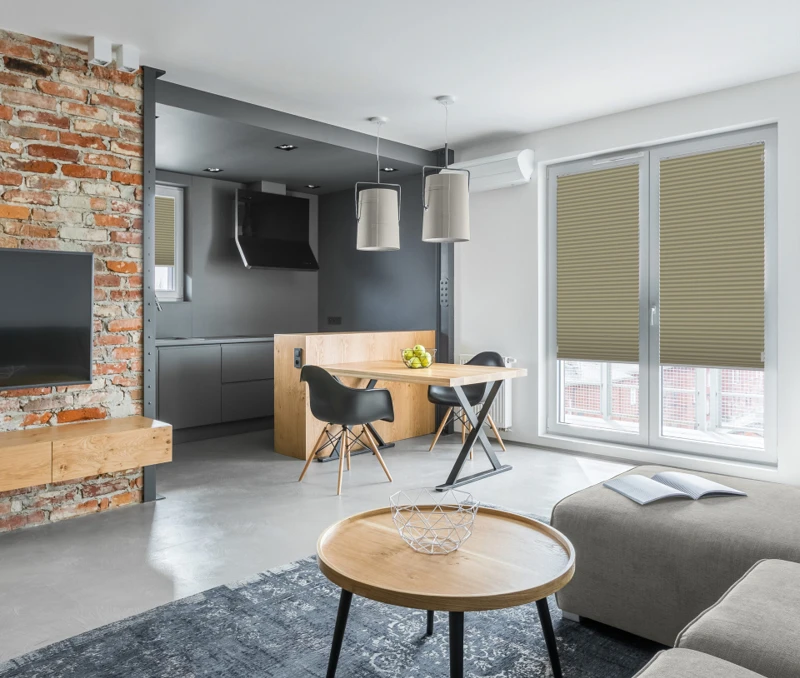 Apartment with open kitchen