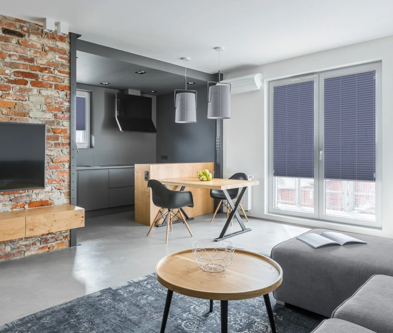 Apartment with open kitchen