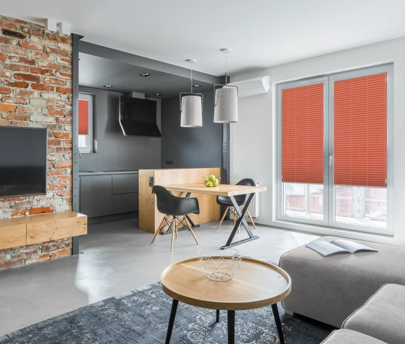 Apartment with open kitchen