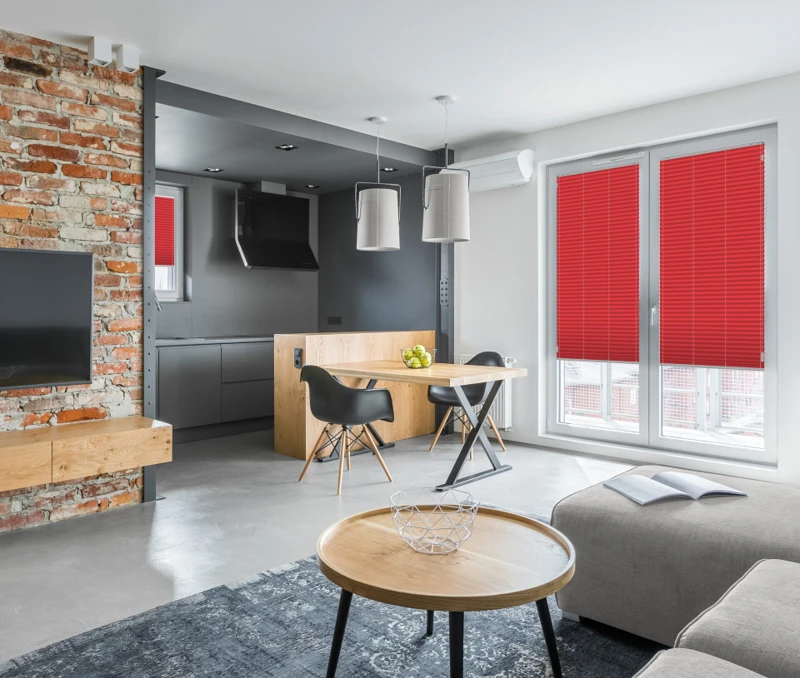 Apartment with open kitchen