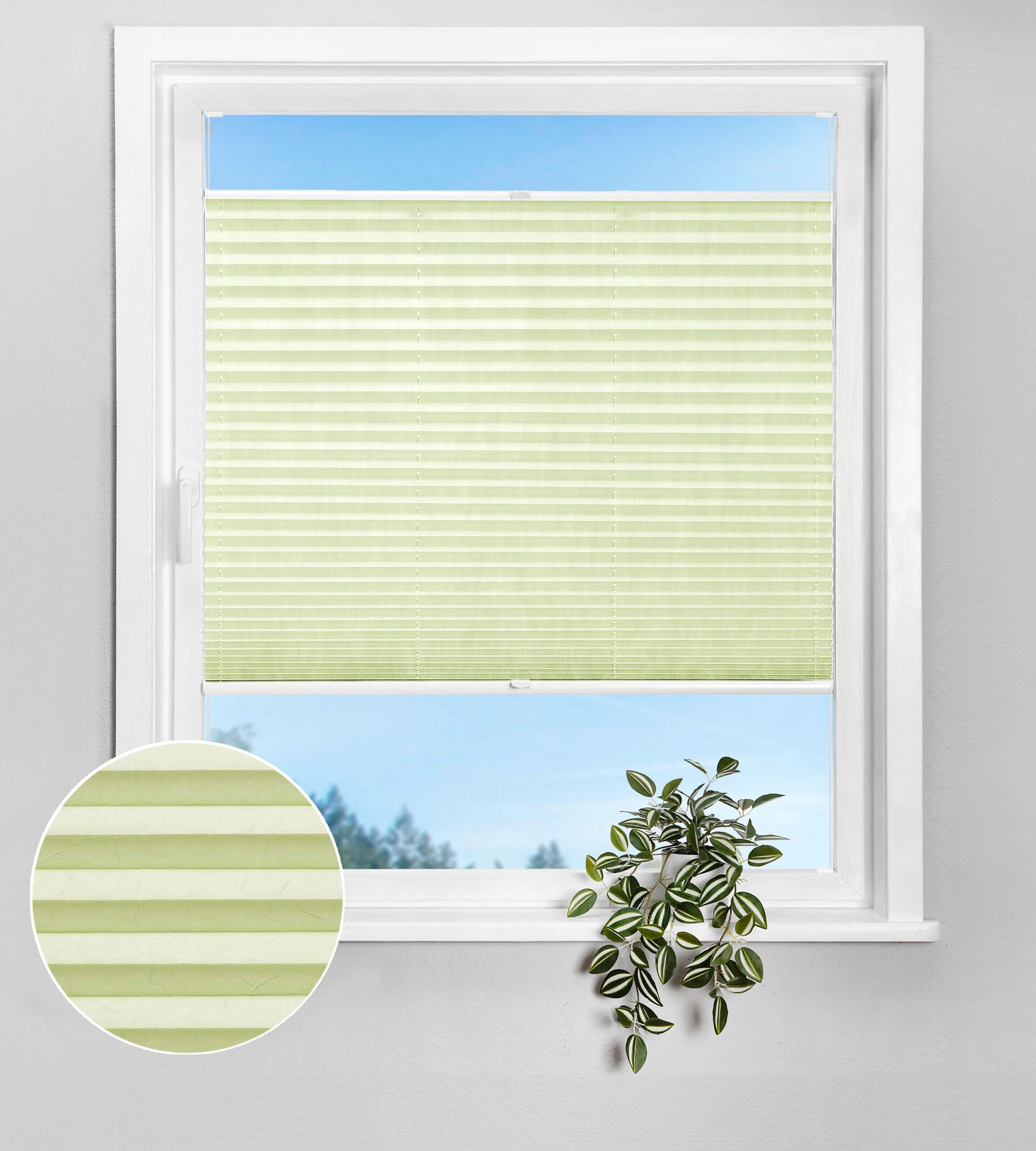 Plissee Crush Grün