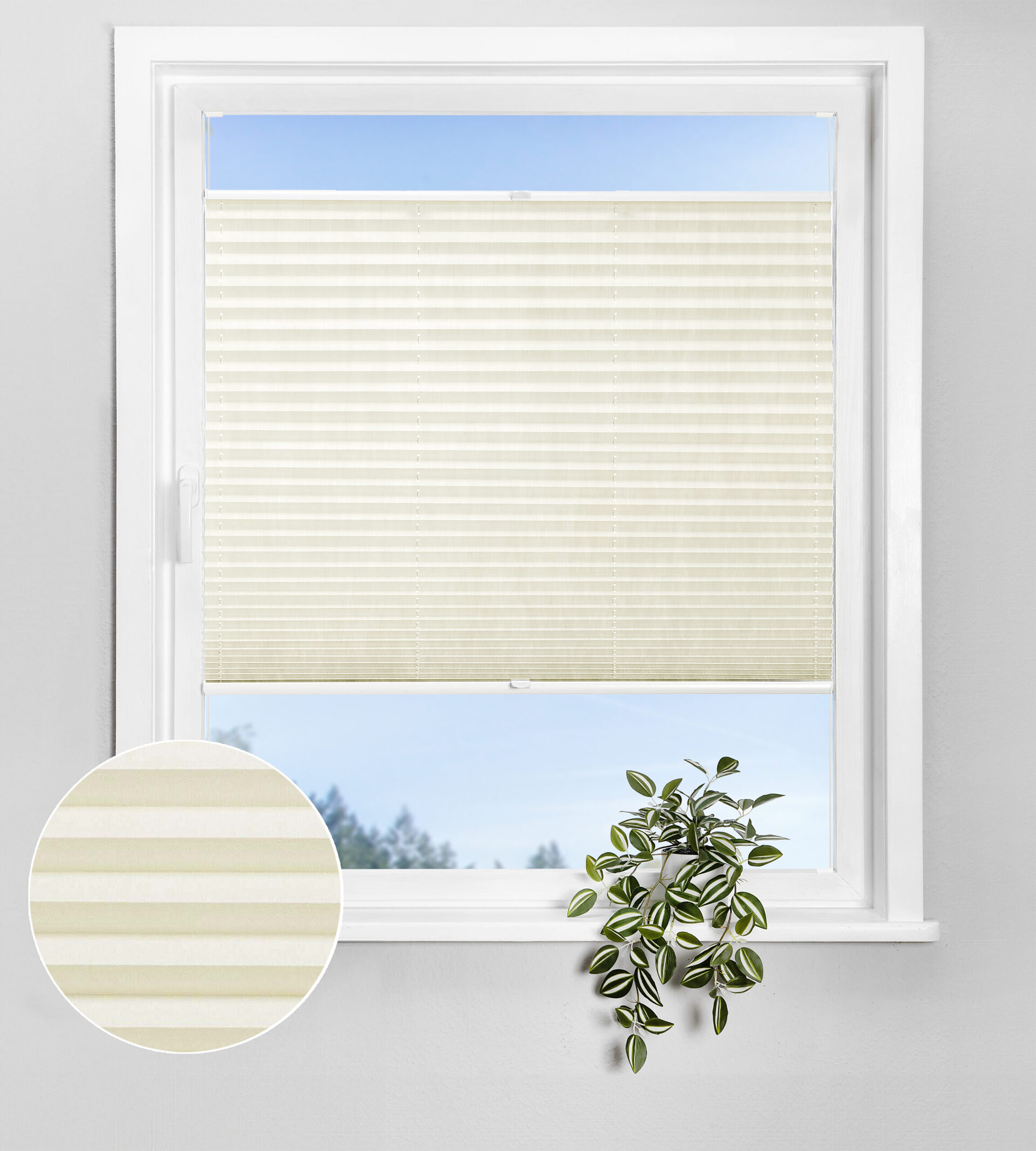 Bohren_Transparent_N021