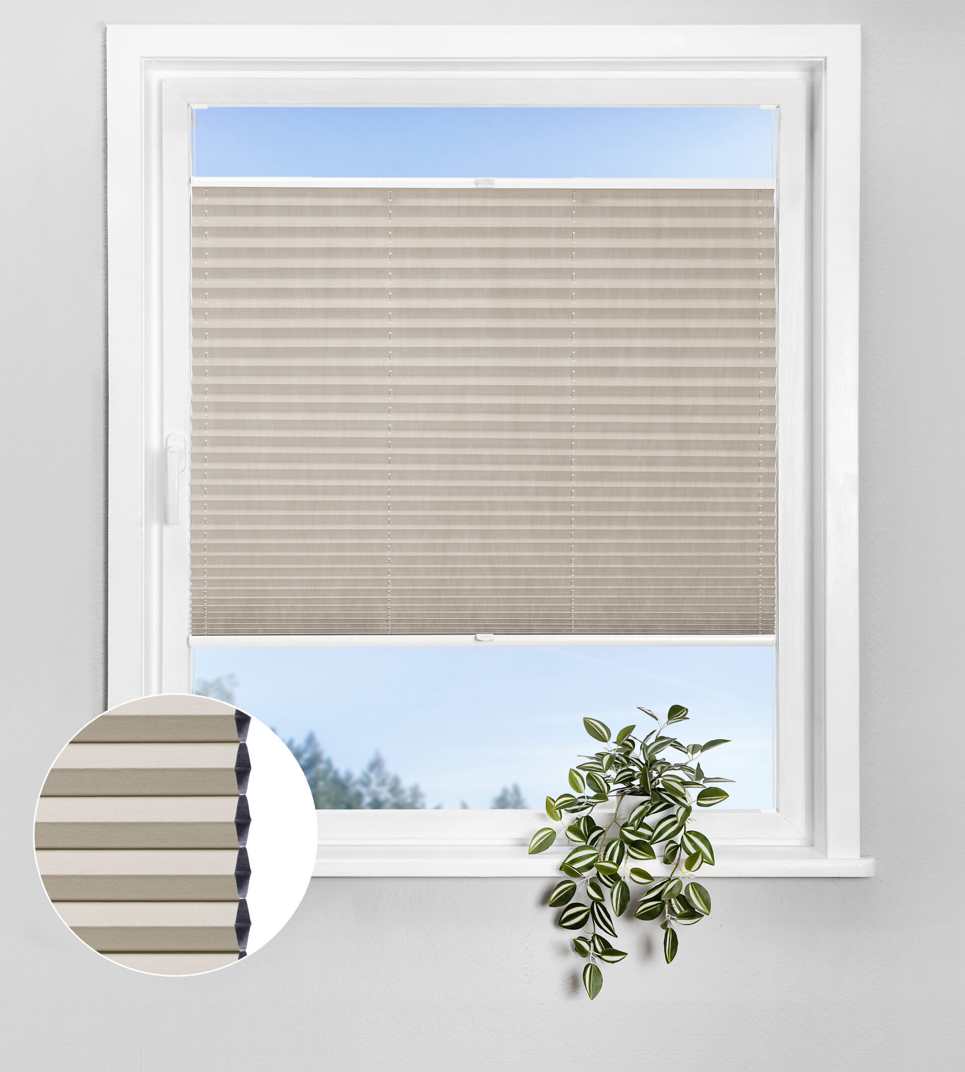 Bohren_Waben_Verdunklung_C633